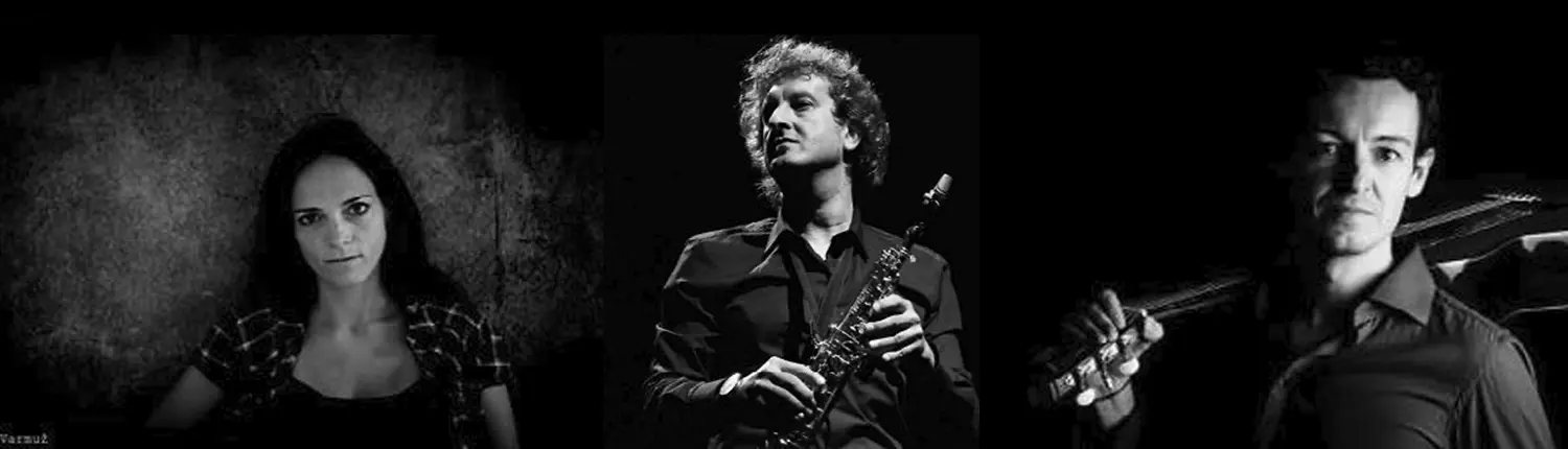 Motus Laevus in concerto